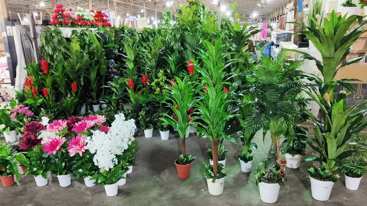 مجموعة متنوعة من نباتات الصبار والعصاريات في أصص ملونة